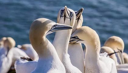 衢州高价上海医保提取2025的最新政策(2025年衢州上海医保怎么提取现金分享)