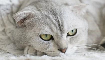 衢州高价上海医保提取2025的最新政策(2025年衢州上海医保怎么提取现金分享)